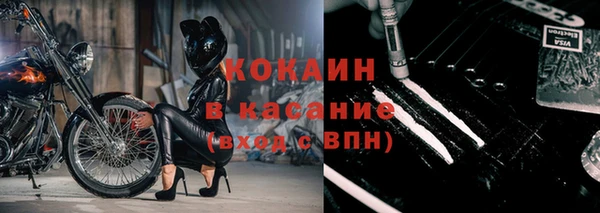 амф Вяземский