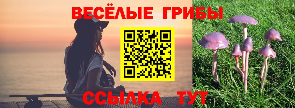Псилоцибиновые грибы мицелий Ноябрьск